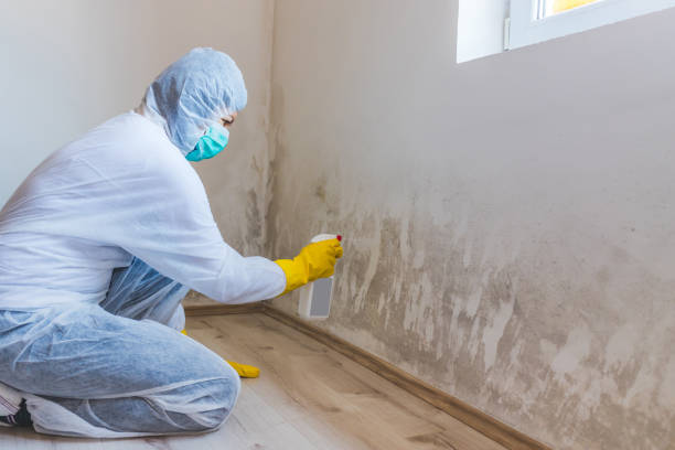Commercial Mold Remediation assessment for commercial property in Medford