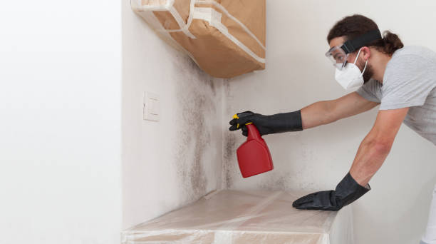 Attic Mold Remediation treatment on roof deck in Medford